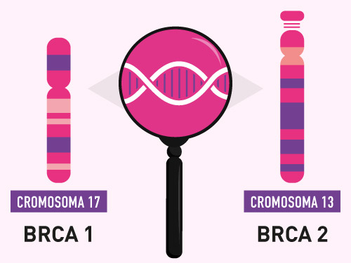 Cosa-sono-i-test-genetici-per-il-cancro-al-seno-1.jpg
